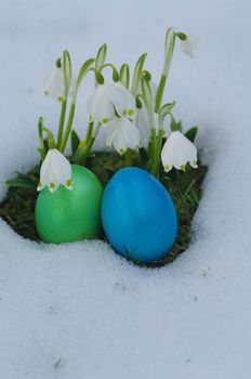 Lillies of the valley with snow with eggs