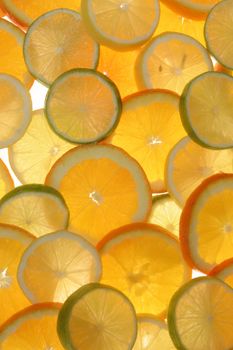 citrus fruits in slices...........