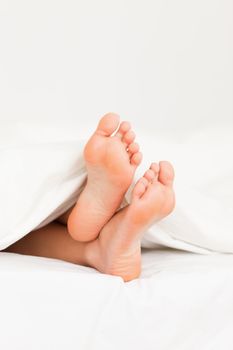 Portrait of feet in a bed against a white background
