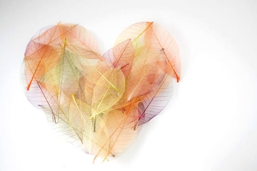 colorful dried leaves in heart shape