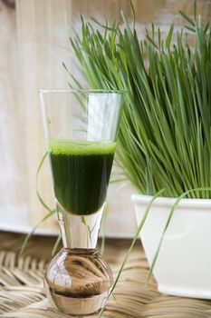 shot of wheatgrass juice with fresh wheatgrass