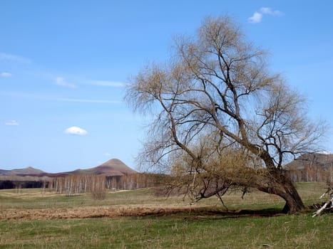 Spring landscape with mountains and blue sky