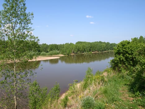 Summer landscape with river and poplar