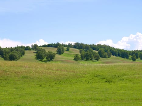 Summer landscape