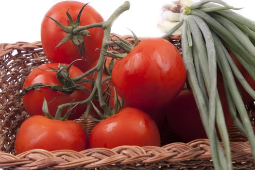 Red tomatoes on a branch on a white background