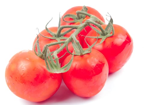 Red tomatoes on a branch on a white background