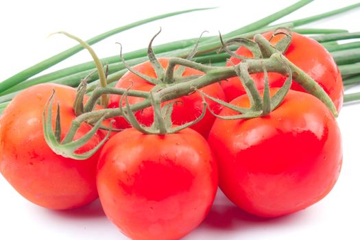 Red tomatoes on a branch on a white background