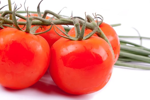 Red tomatoes on a branch on a white background