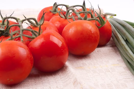 Red tomatoes on a branch on a white background