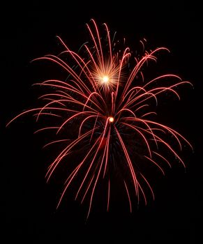 Colorful fireworks on the black sky background