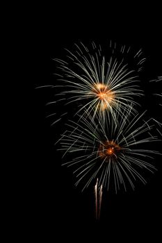 Colorful fireworks on the black sky background