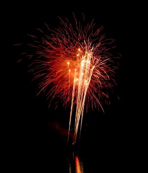 Colorful fireworks on the black sky background