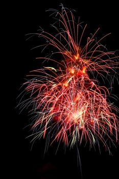 Colorful fireworks on the black sky background