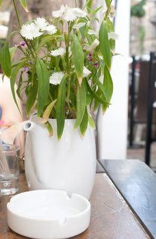 white flowers in white pot in a cafe shooting