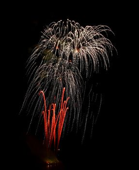 Colorful fireworks on the black sky background