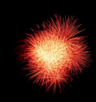 Colorful fireworks on the black sky background