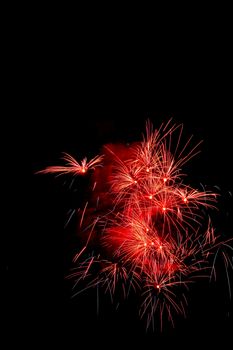 Colorful fireworks on the black sky background