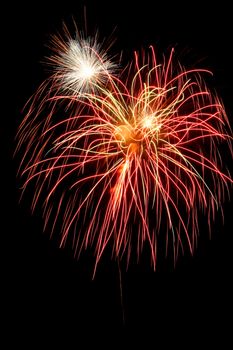 Colorful fireworks on the black sky background