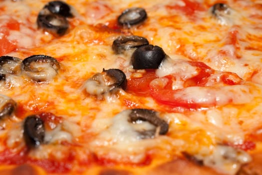 Pizza with black olives and melted cheese, close-up shooting in the cafe