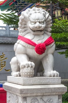 Chinese lion statue at temple, Thailand. Generality in Thailand, any kind of temple, art decorated in Buddhist church, temple etc. created with money donated by people to hire artist. They are public domain, no restrict in copy or use.This photo is taken under these conditions.