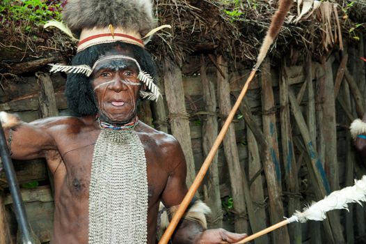 DUGUM DANI VILLAGE,  IRIAN JAYA PROVINCE, NEW GUINEA, INDONESIA - JUNE 20: Dugum Dani Warrior  with a traditional painting on a face. June 20, 2012 in Dugum Dani The Baliem Valley Papua or Irian Jaya Indonesian New Guinea