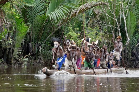 INDONESIA, IRIAN JAYA, ASMAT PROVINCE, JOW VILLAGE - JUNY 28:  Asmat men paddling in their dugout canoe. Canoe war ceremony of Asmat people. Headhunters of a tribe of Asmat show traditional and national customs, dresses, the weapon and boats. New Guinea Island, Indonesia. June 28 2009