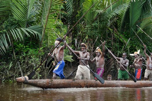 INDONESIA, IRIAN JAYA, ASMAT PROVINCE, JOW VILLAGE - JUNY 28:  Asmat men paddling in their dugout canoe. Canoe war ceremony of Asmat people. Headhunters of a tribe of Asmat show traditional and national customs, dresses, the weapon and boats. New Guinea Island, Indonesia. June 28 2009