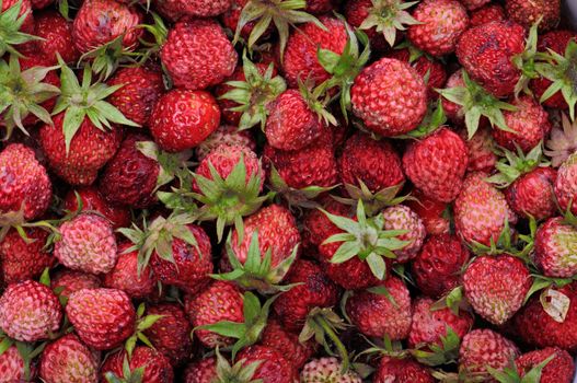 Ripe red strawberry for freshening juice with vitamines