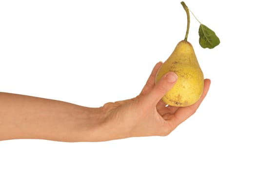 Yellow pear with a green leaf in hand