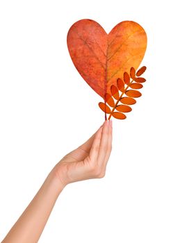 Woman holding autumn leaf as a  heart and glass rowan leaf