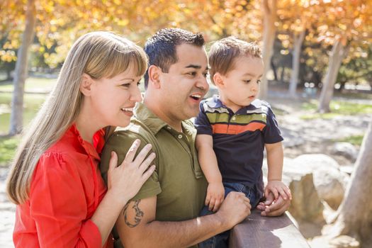 Happy Mixed Race Family Enjoy a Day at The Park Together.