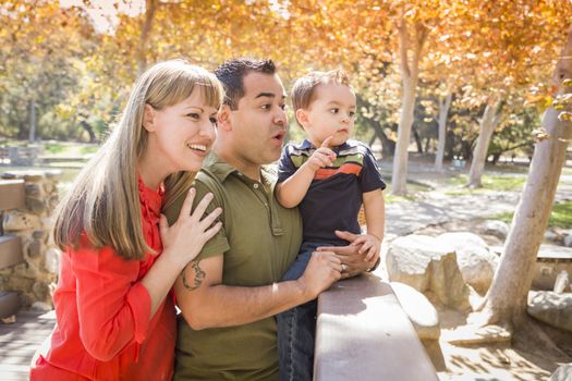 Happy Mixed Race Family Enjoy a Day at The Park Together.