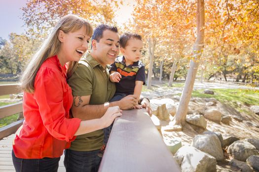 Happy Mixed Race Family Enjoy a Day at The Park Together.