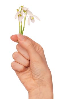 woman holding snowdrops as a symbol of spring