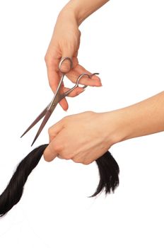 hairdresser cutting young woman with long black hair