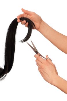 hairdresser cutting young woman with long black hair