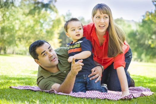 Happy Mixed Race Family Enjoy a Day at The Park Together.