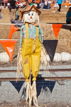 Scarecrow is a human figure dressed in old clothes and placed in fields by farmers to discourage birds disturbing and feeding on recently cast seed and growing crops.