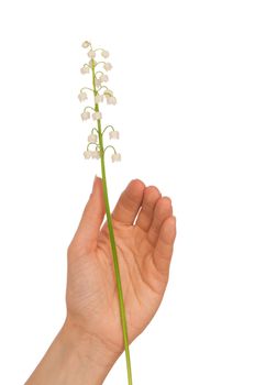 Woman holding lily of the valley in the hand