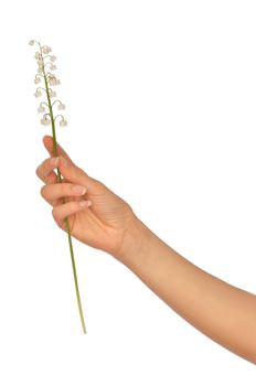 Woman holding lily of the valley in the hand