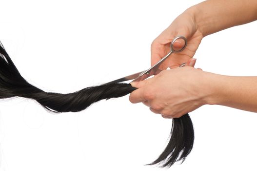 hairdresser cutting woman with long black hair