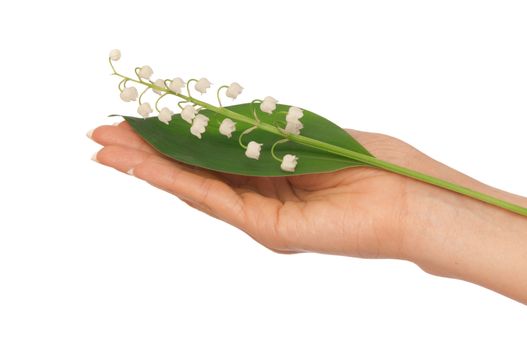 Woman holding lily of the valley in the hand