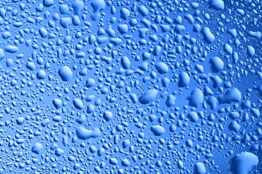 blue water bubbles on the window for background