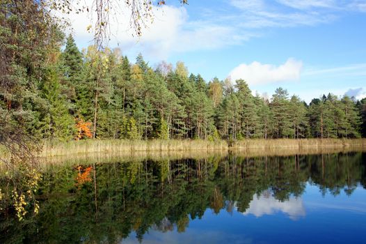 Lake and trees on a background of the blue sky