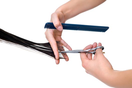 hairdresser cutting young woman with long black hair