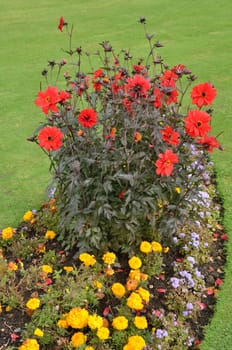 Formal english flower bed