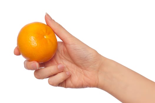 Fresh mature Spanish tangerine in the hand