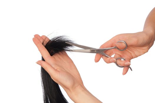 hairdresser cutting young woman with long black hair