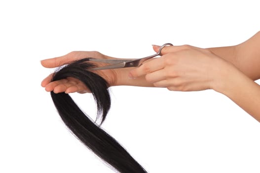 hairdresser cutting young woman with long black hair