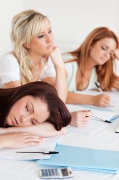 Charming Students one sleeping sitting at a table in class